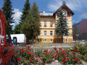 Отель Villa KONIG  Марианске Лазне